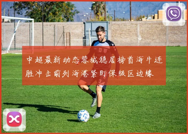 中超最新动态蓉城稳居榜首海牛连胜冲击前列海港紧盯保级区边缘