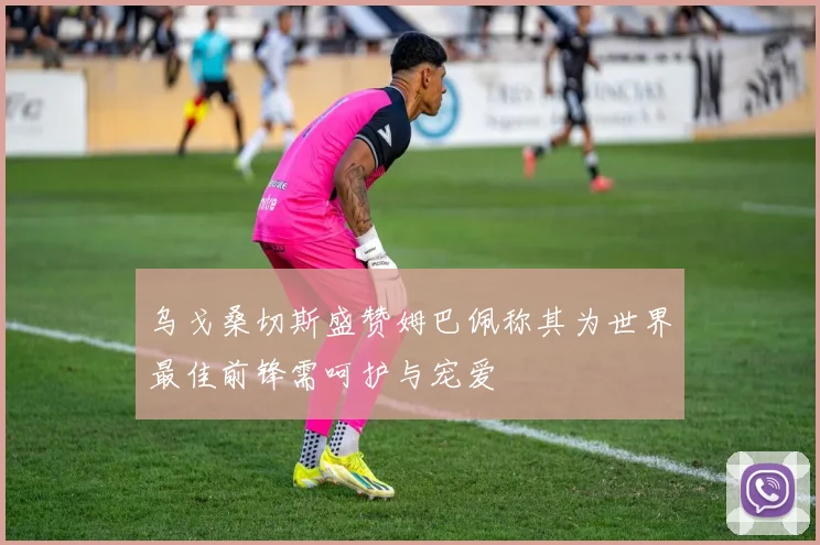 乌戈桑切斯盛赞姆巴佩称其为世界最佳前锋需呵护与宠爱